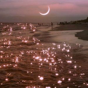 Meet your Posher, Chandler